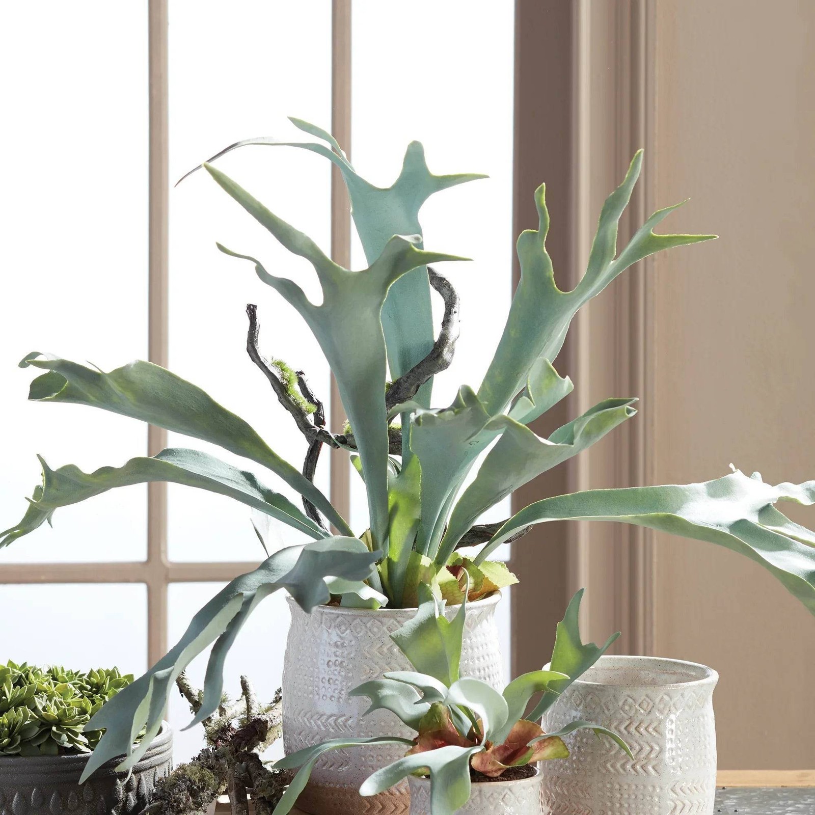 Staghorn Artificial Fern Drop-In 22″