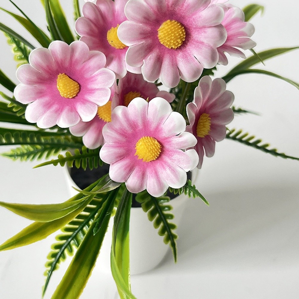 Indoor Chrysanthemum Bonsai Style Plant for Desk Nightstand Table Decor