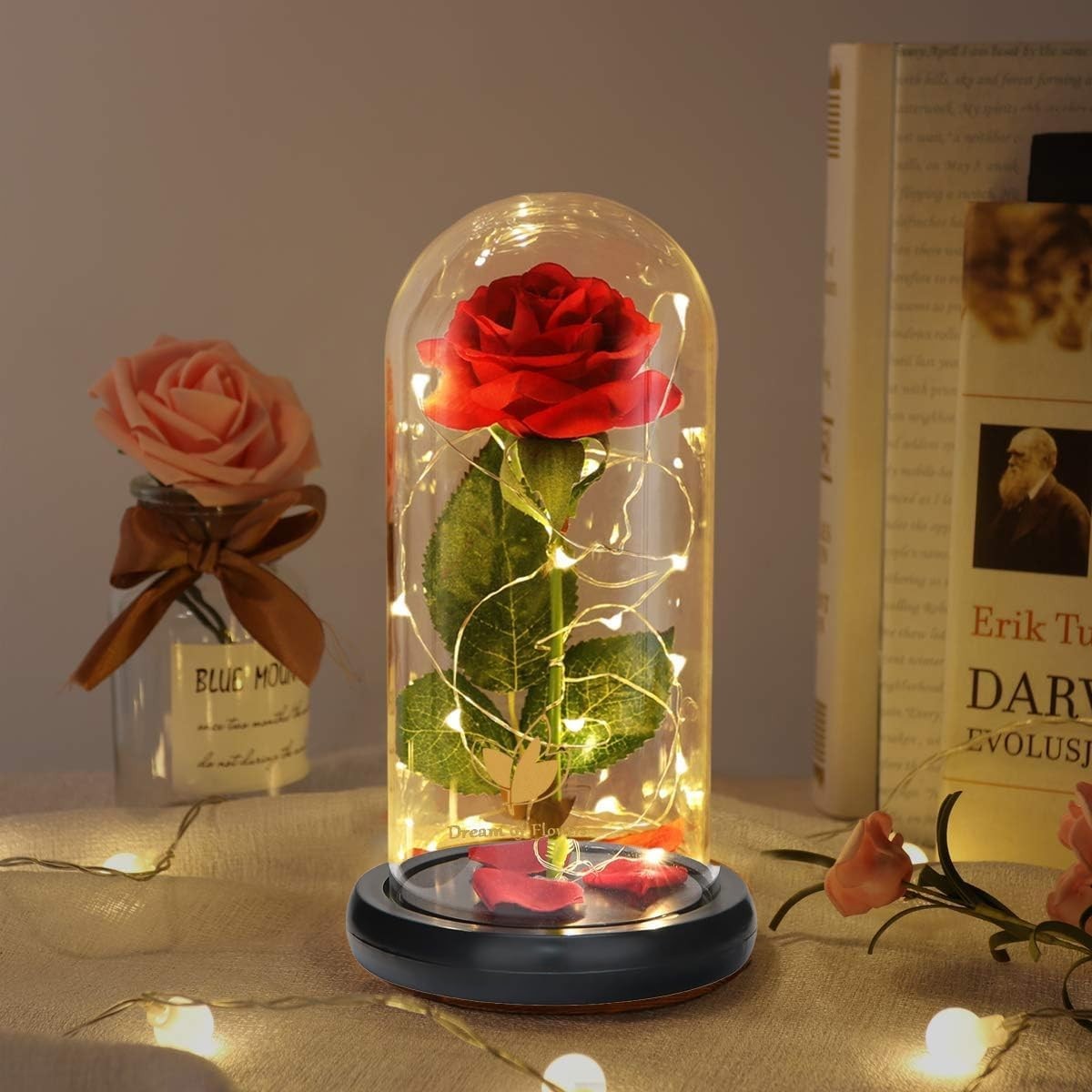 Beauty and The Beast Rose in Glass Dome, Preserved Rose Enchanted Red Silk Rose