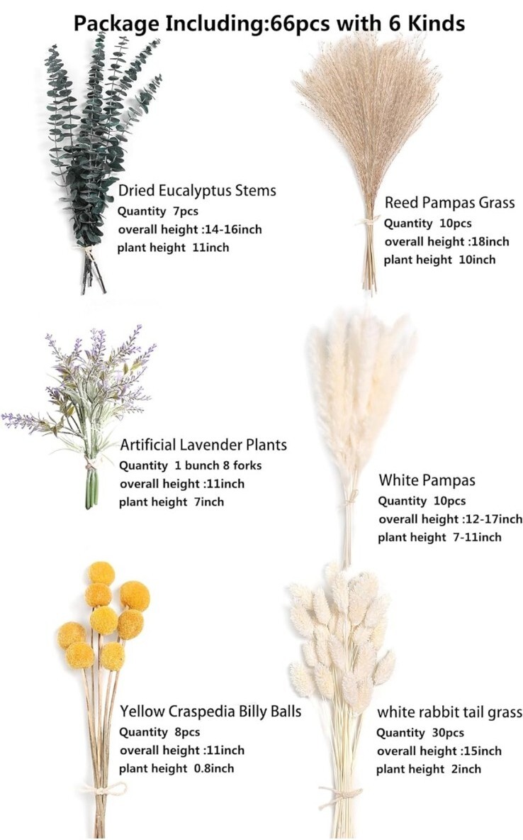 Natural Dried Pampas Eucalyptus Rabbit Tail Grass,(Pack of Natural，green，white