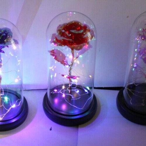 Red Eternal Rose w LED Lights in Glass Dome Mothers Valentines Anniversary Gift