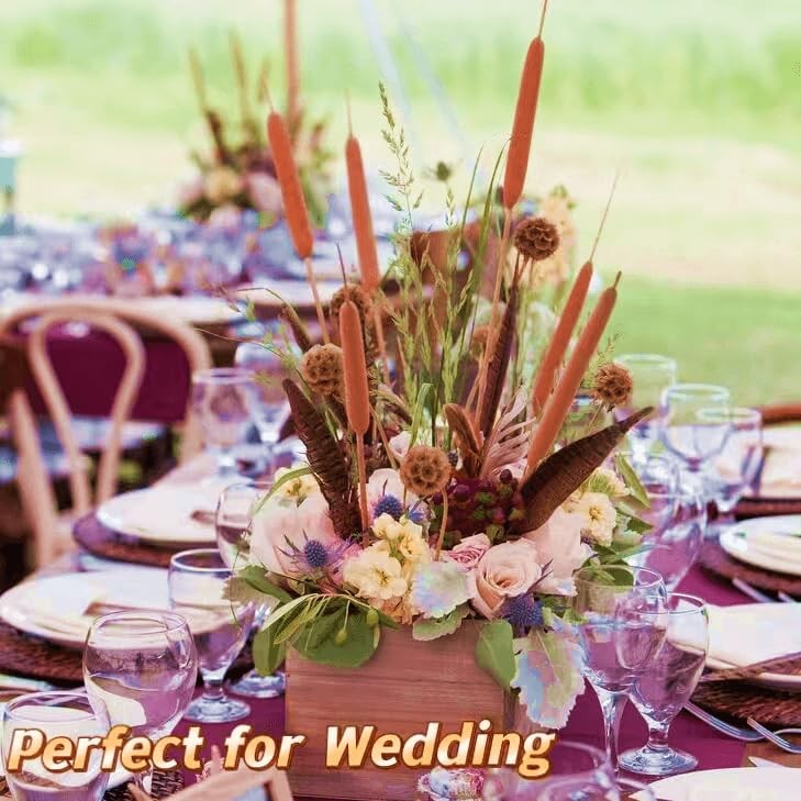 Dried Natural Brown Cattails Flowers – 20PCS Real Broadleaf Pencil Cattail St…