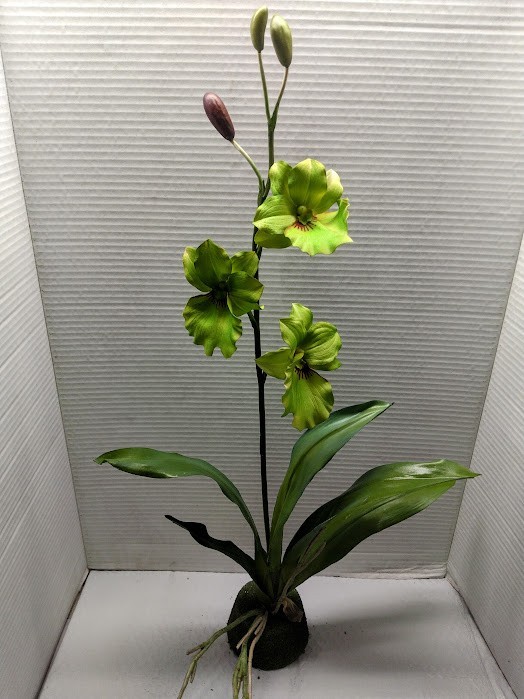 ARTIFICIAL miltoniopsis orchid plant