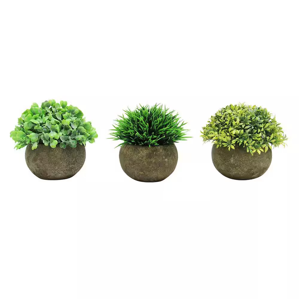 4.5 In. Frosted Green Artificial Boxwood Grass Leaf Succulent Mix Small Plant To