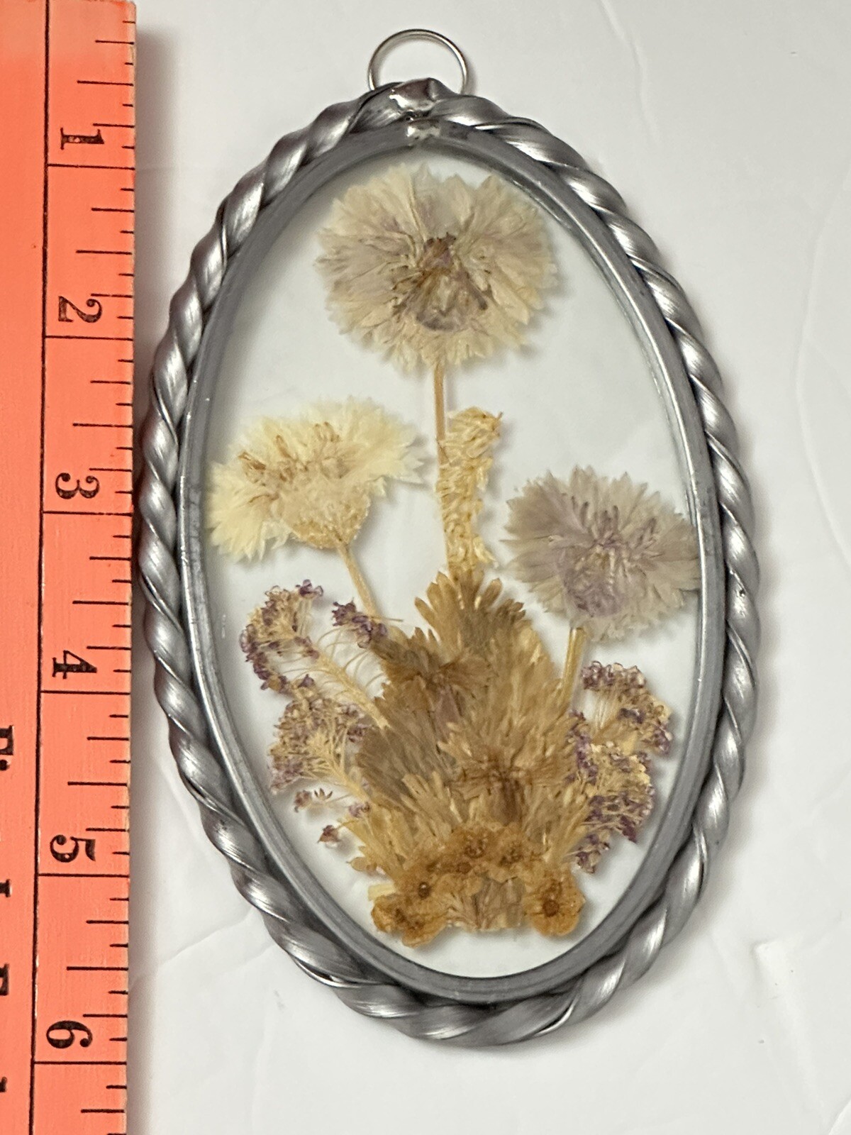 Lasting Impressions Real Pressed Flowers in Glass Oval Metal Frame Suncatcher 6”
