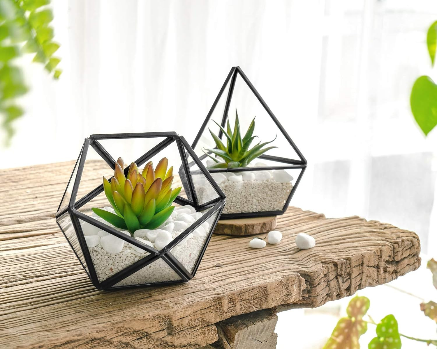 Artificial Succulent in 3 Pack Mini Glass Geometric Terrarium, Miniature Potted