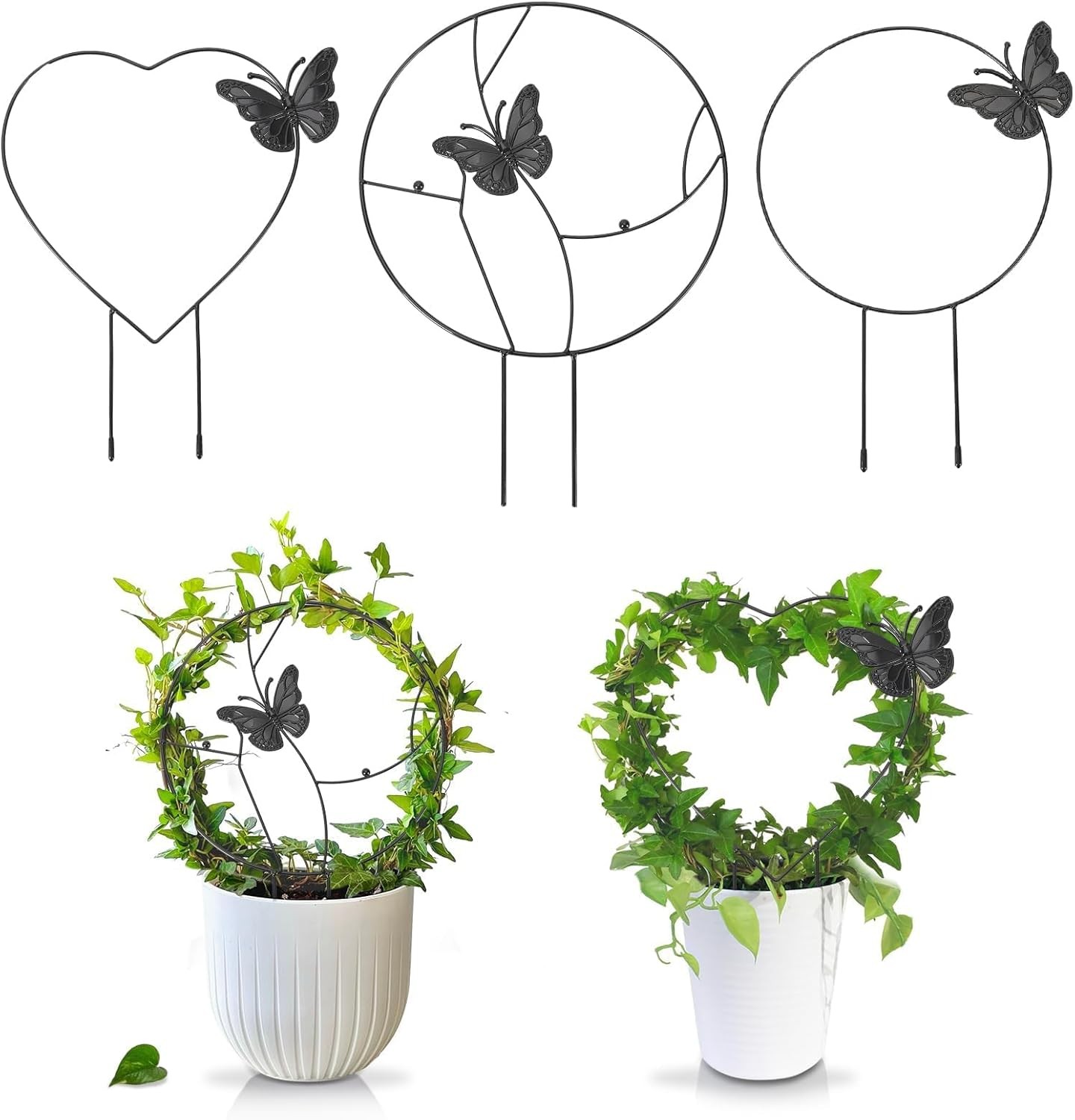 3PCS Round Metal Plant Trellis Indoor Climbing Vine Ivy Flower Support