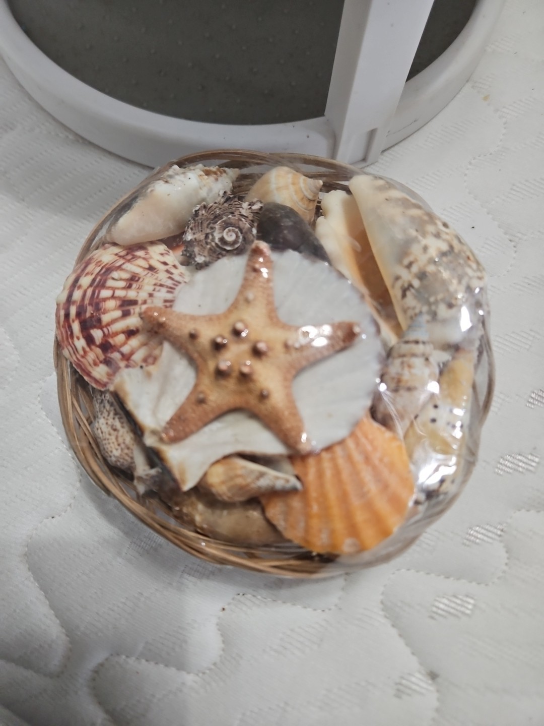 Seashells in Basket – Home Office Spa Decoration Assorted