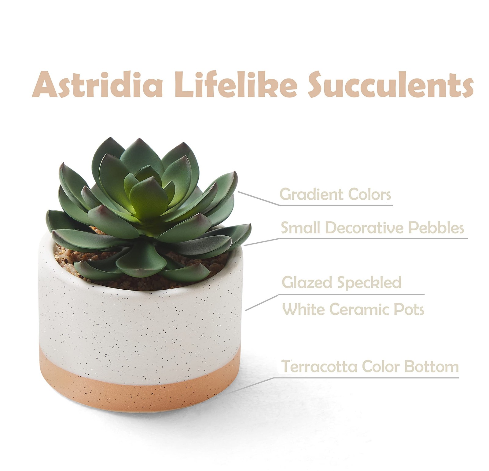 Artificial Succulent Plants in Ceramic Pots, Faux Assorted Succulents Fake Ca…