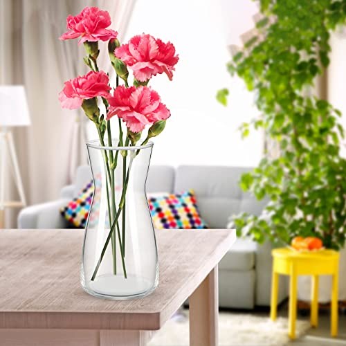 6 Pcs 8” Tall Flower Vase Wide Mouth Crystal Glass Boho Decorative 1 Clear