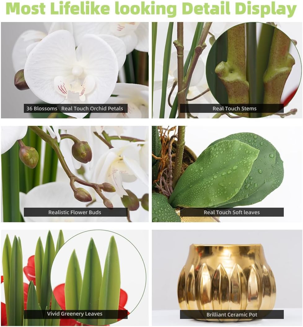 Real Touch Artificial Orchid in Ceramic Vase – 22.9” White Phalaenopsis Decor