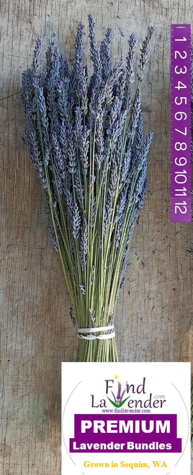 Lavender Dried Premium Bundles (Grosso) – 20″ to 24″ L – From the latest harvest