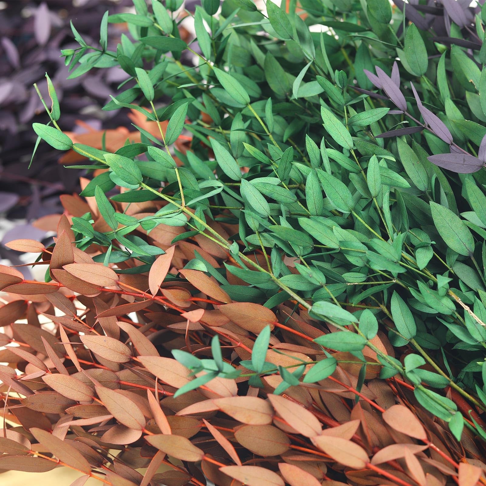 Preserved Eucalyptus Leaves Branches 1417 Inch Vase Filler Orange
