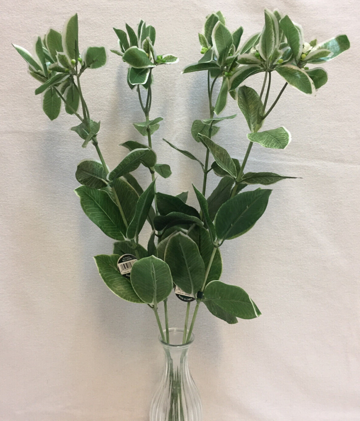 Euphorbia Branch Stems 25″ Artificial Variegated Green White Lot of 4