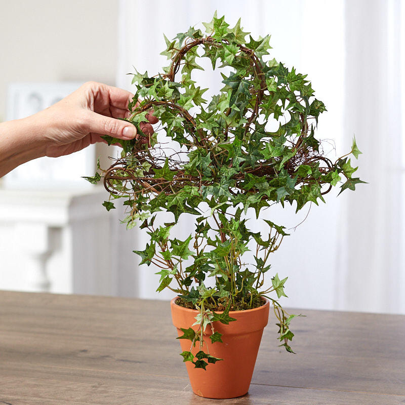 Set of 2 Artificial Climbing Ivy and Grapevine Assorted Potted Plants