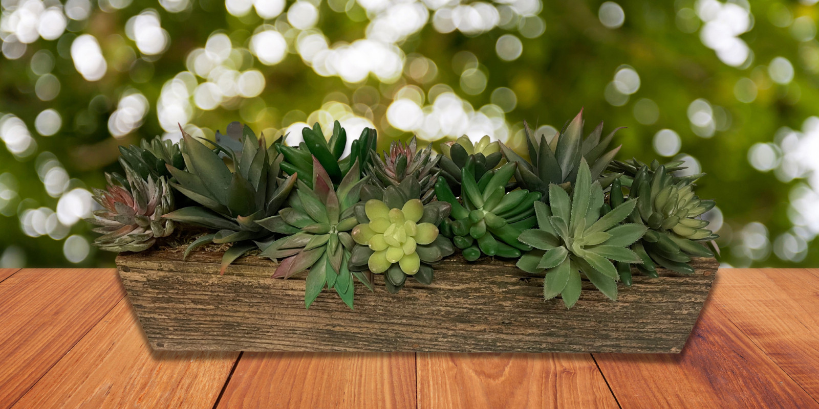 Artificial Succulent Plant Arrangement in Rustic Wood Planter – 18in or 24in