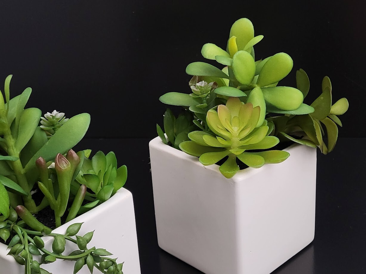 2-Pack Cactus Artificial Succulent Fake Plants Ceramic White Planter Pot 4x4x7