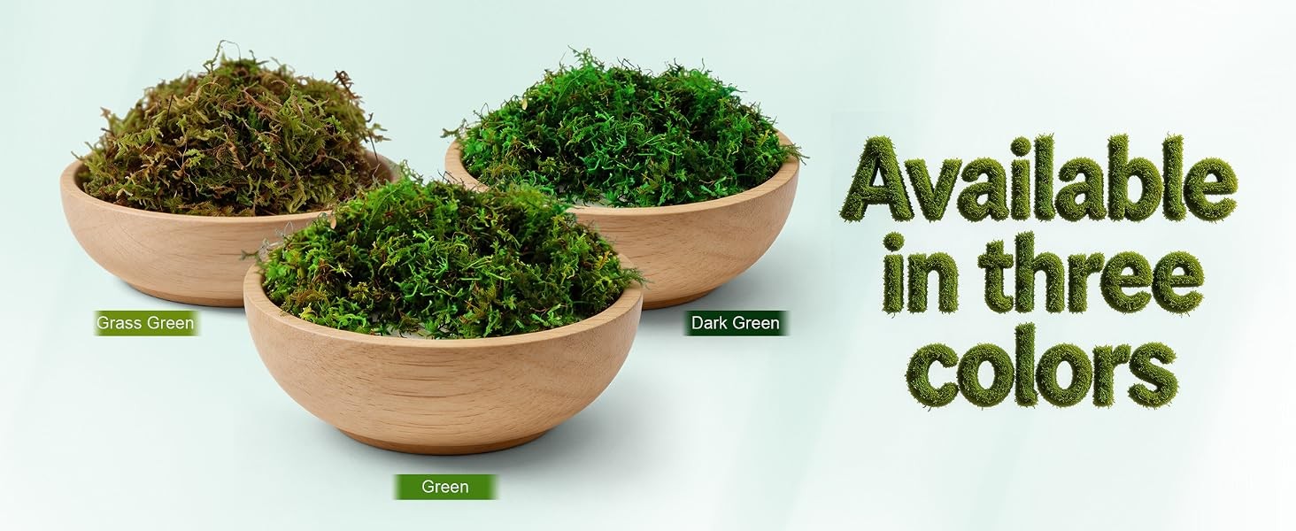 10oz Artificial Fake Green Moss for Crafts Plants Indoor | Includes Gloves