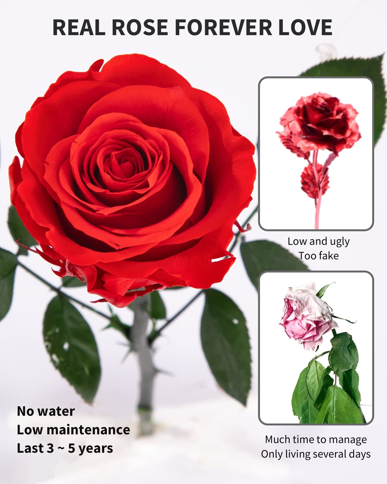 Valentines Day Gifts for Her,Valentines Rose Flowers Birthday Gifts for Women…