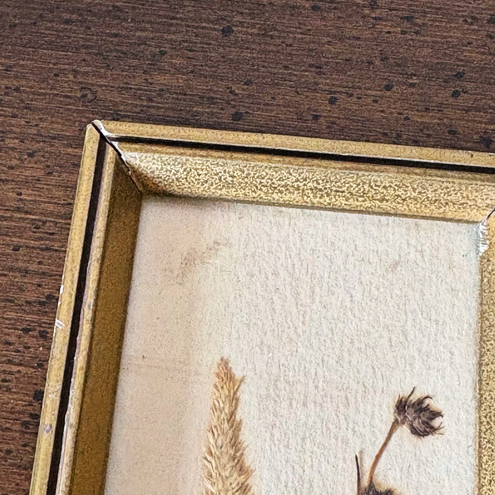 Set Vintage Pressed Flower Framed East Germany 7.5”x2.75” Cottage Core Signed