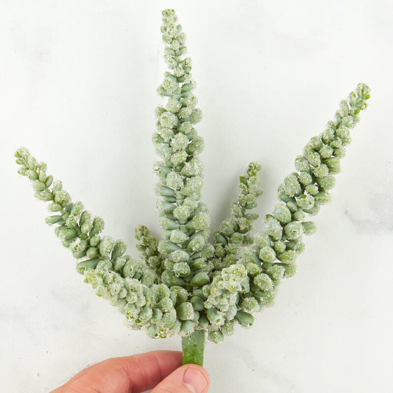 Artificial Frosted Green Sedum Succulent Picks for Indoor Decor – 4 Picks