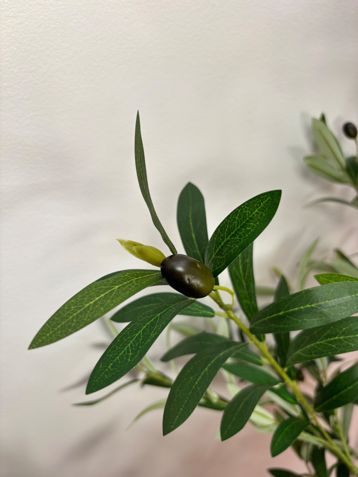 Wildwood & Cypress 60” Realistic Olive Tree Variegated Foliage Faux Indoor Plant