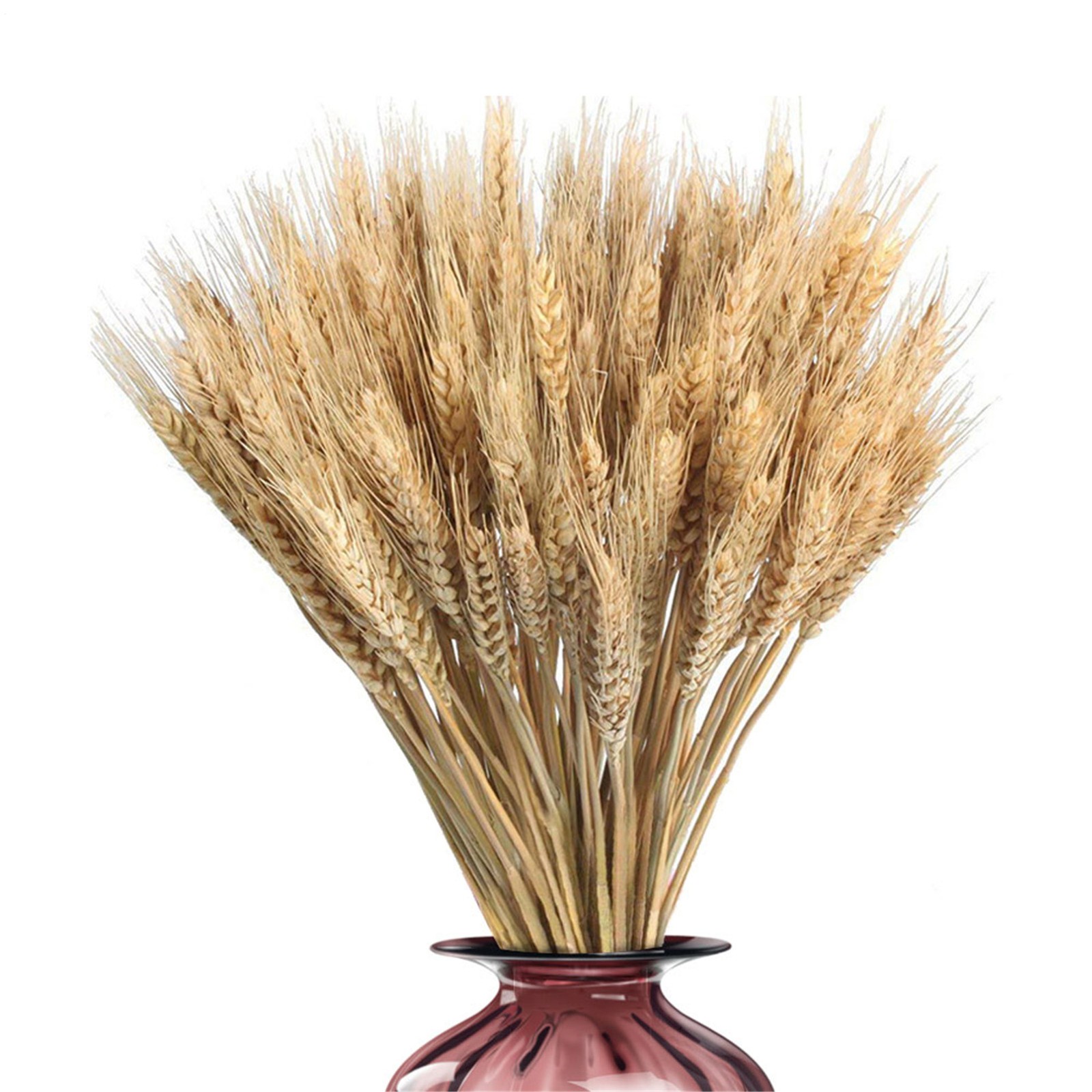 100pcs Dried Natural Wheat Stalks DIY Craft Bouquet Bunch Wheat For Home Decor