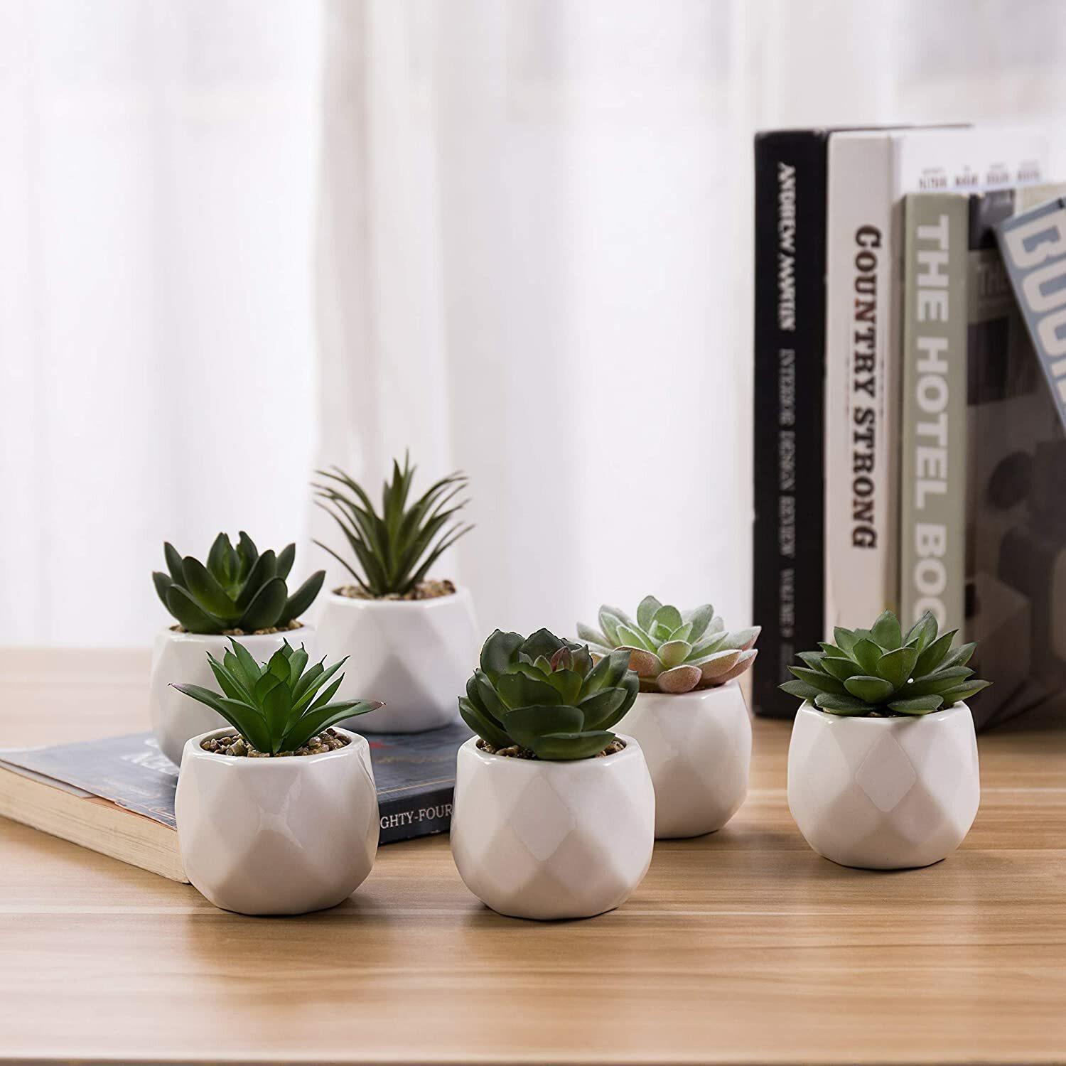 Mini Assorted Artificial Succulents in White Geometric Ceramic Pots, Set of 6