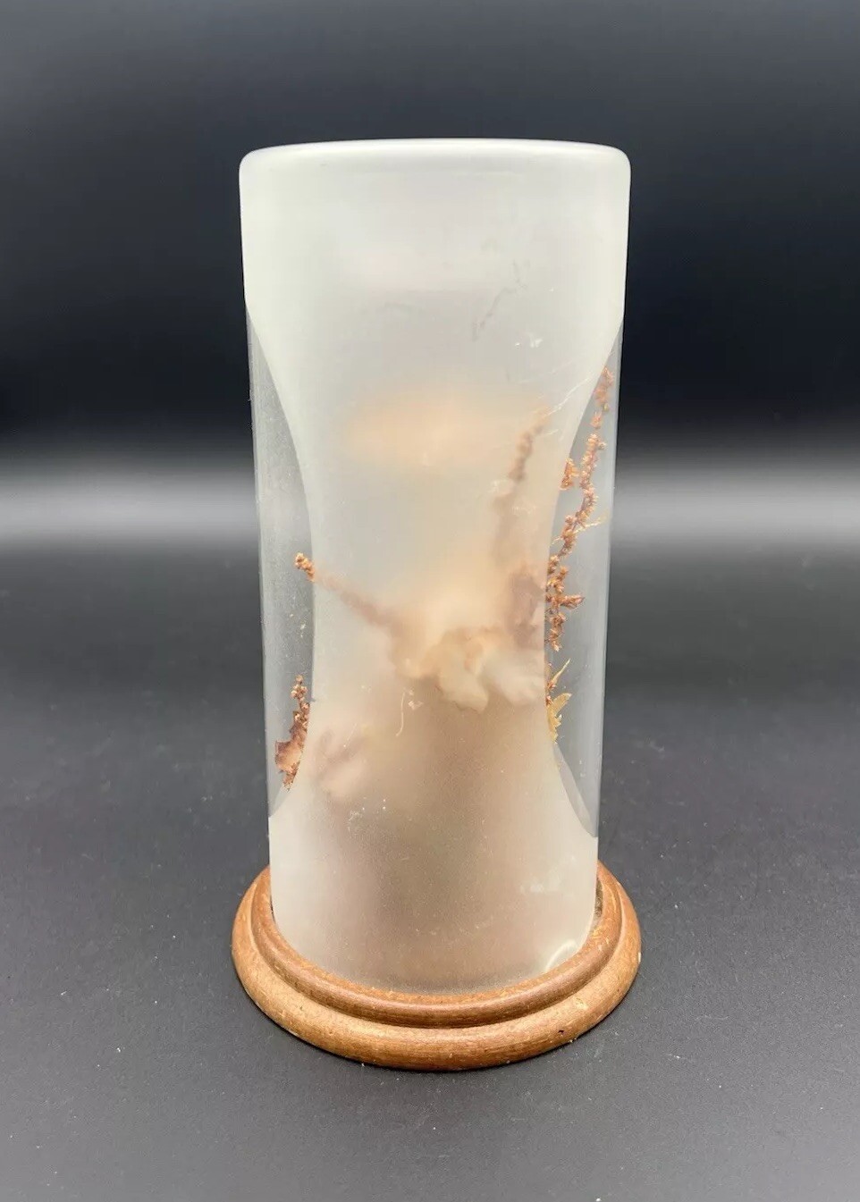 Vintage Terrarium Dome Display Dried Flowers Wood Base 1970s 7.75”
