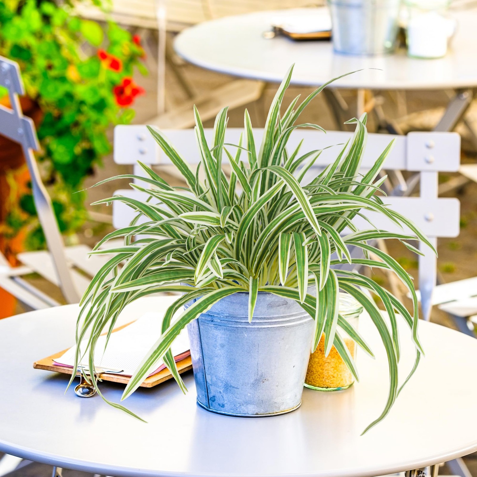 2 Packs Artificial Spider Plant Large 23.6In Fake Greenery Plants UV Resistan…