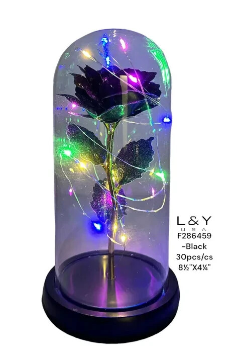 Illuminated Domed Black Rose