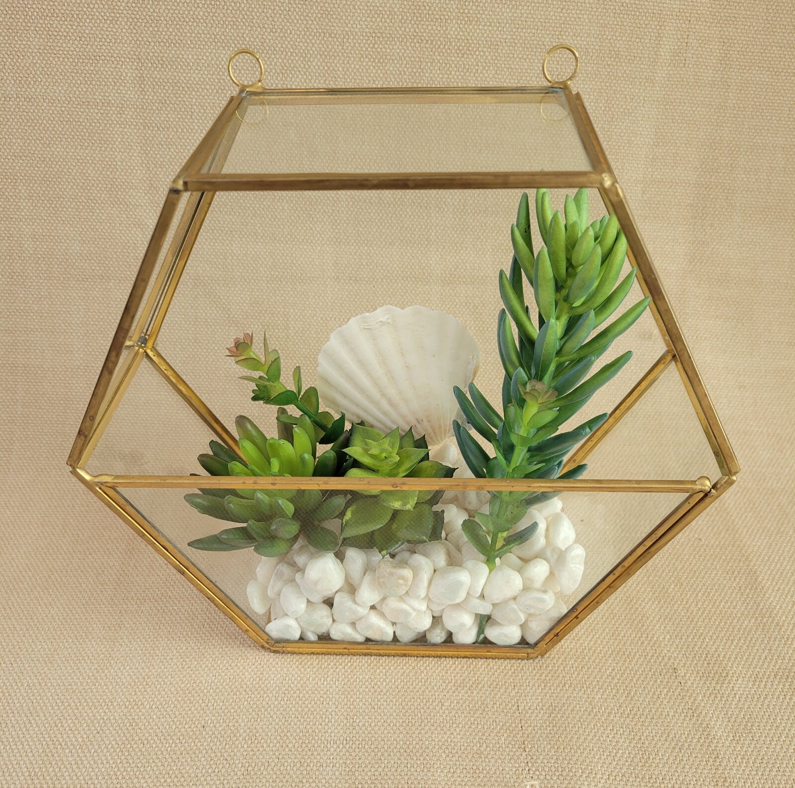 Plant Terrarium Geometric Gold Edge Planter Artificial Succulent Open Side Glass