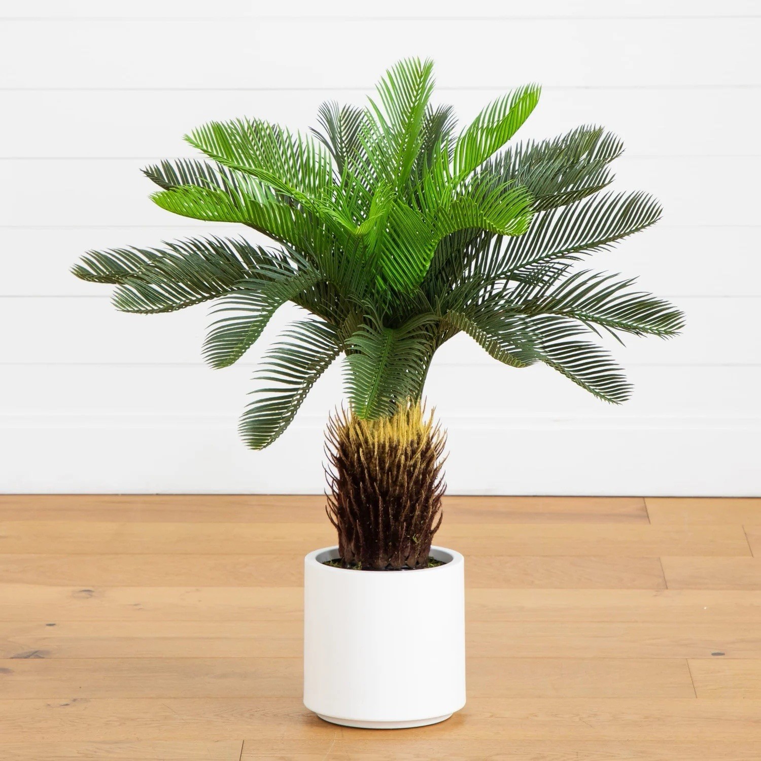 30″ UV Resistant Artificial Cycas Palm Tree in White Planter. Retail $134