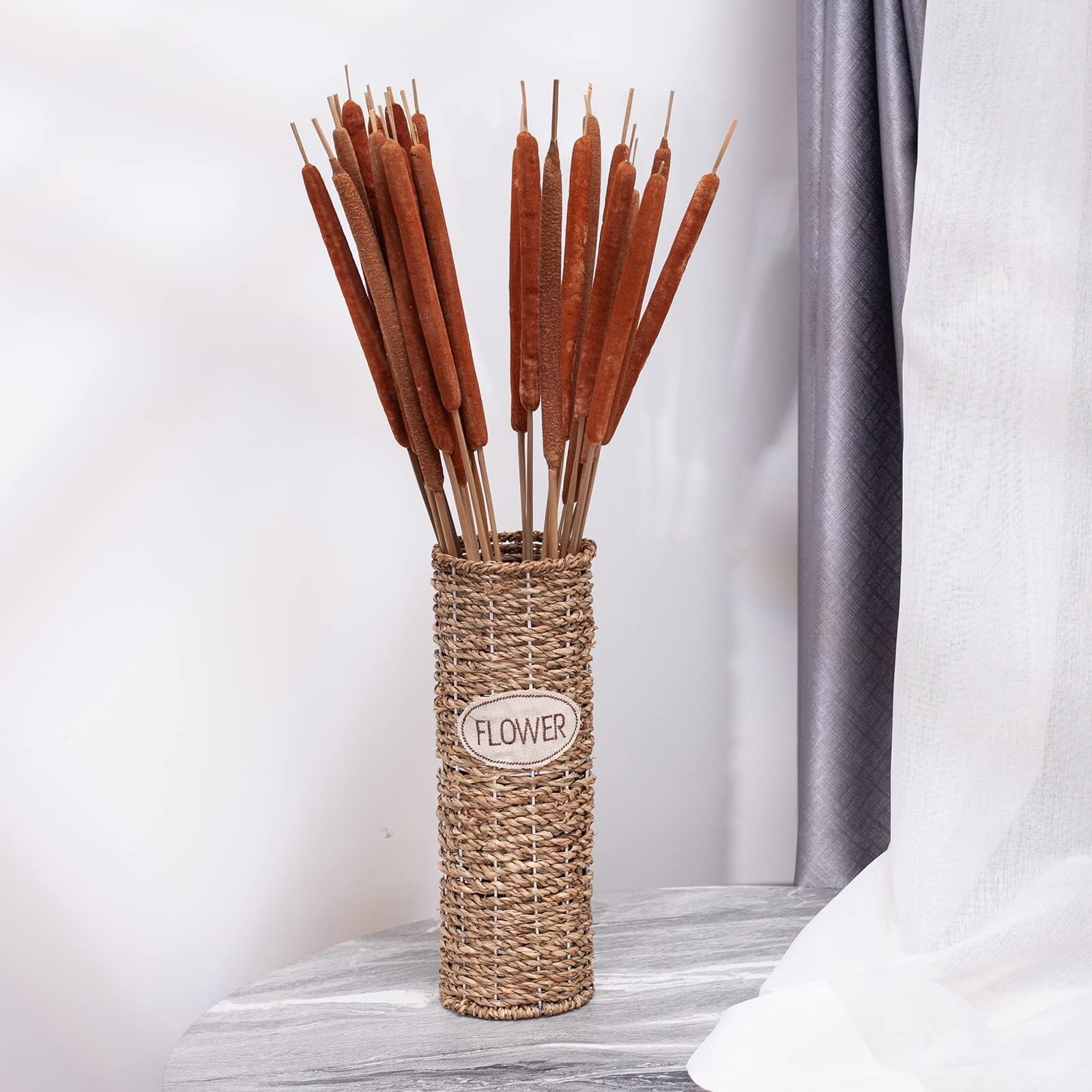 Dried Natural Cattails Jumbo Size For DIY Floral Decor 0.75×24 Inch 20 PCS