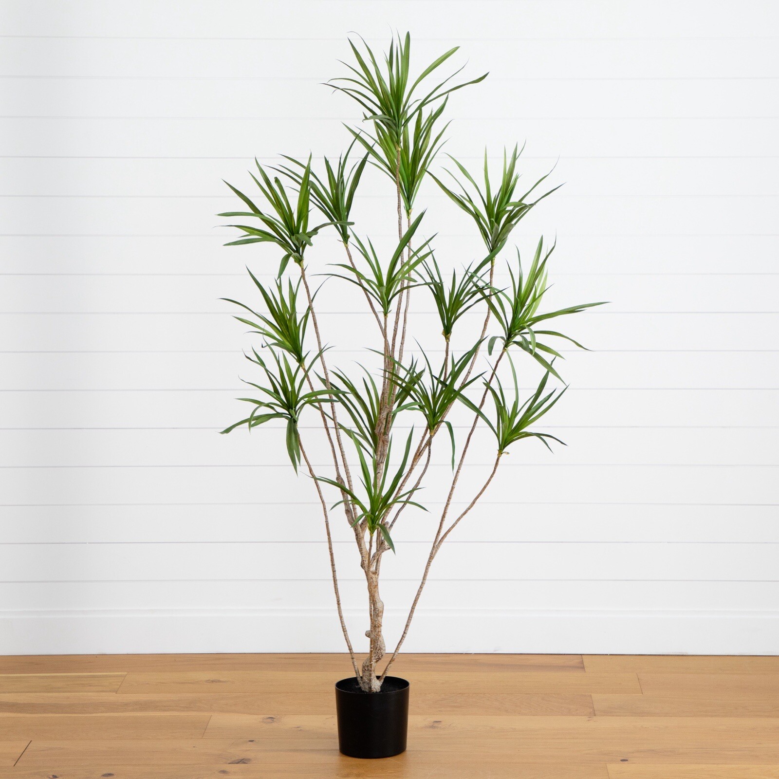 6’ Artificial Dracaena Tree with Real Touch Leaves Home Decor. Retail $289