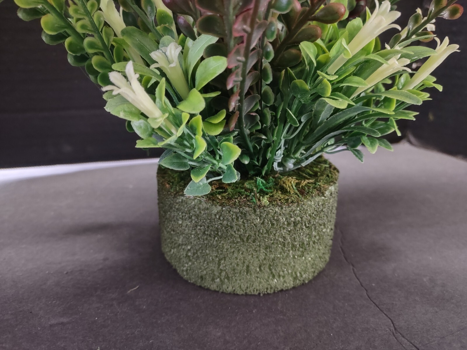 Lamb’s ears plant table decoration.