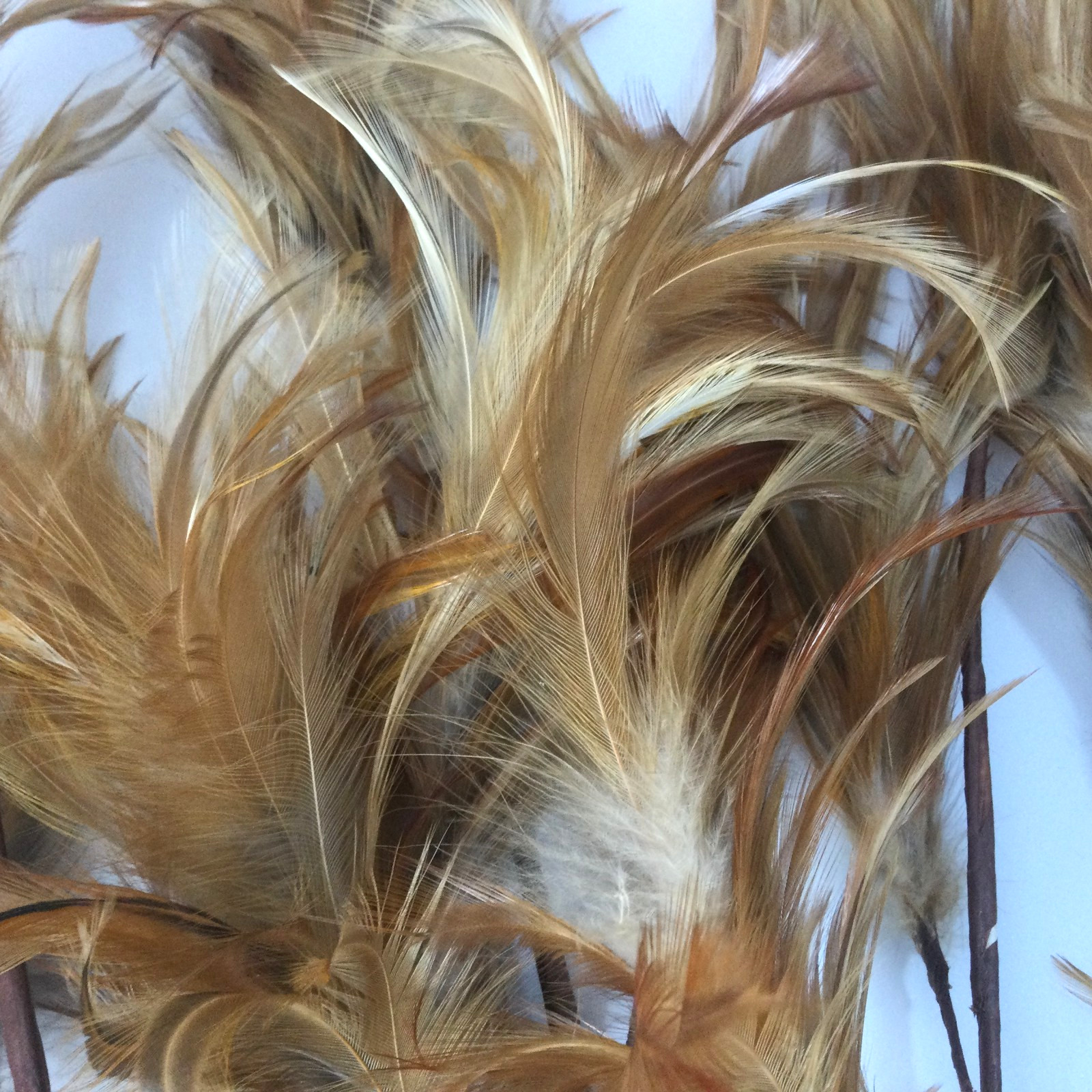 Vintage Genuine Feather Stems Branches Floral Arrangements Decor 26″ L Lot of 6