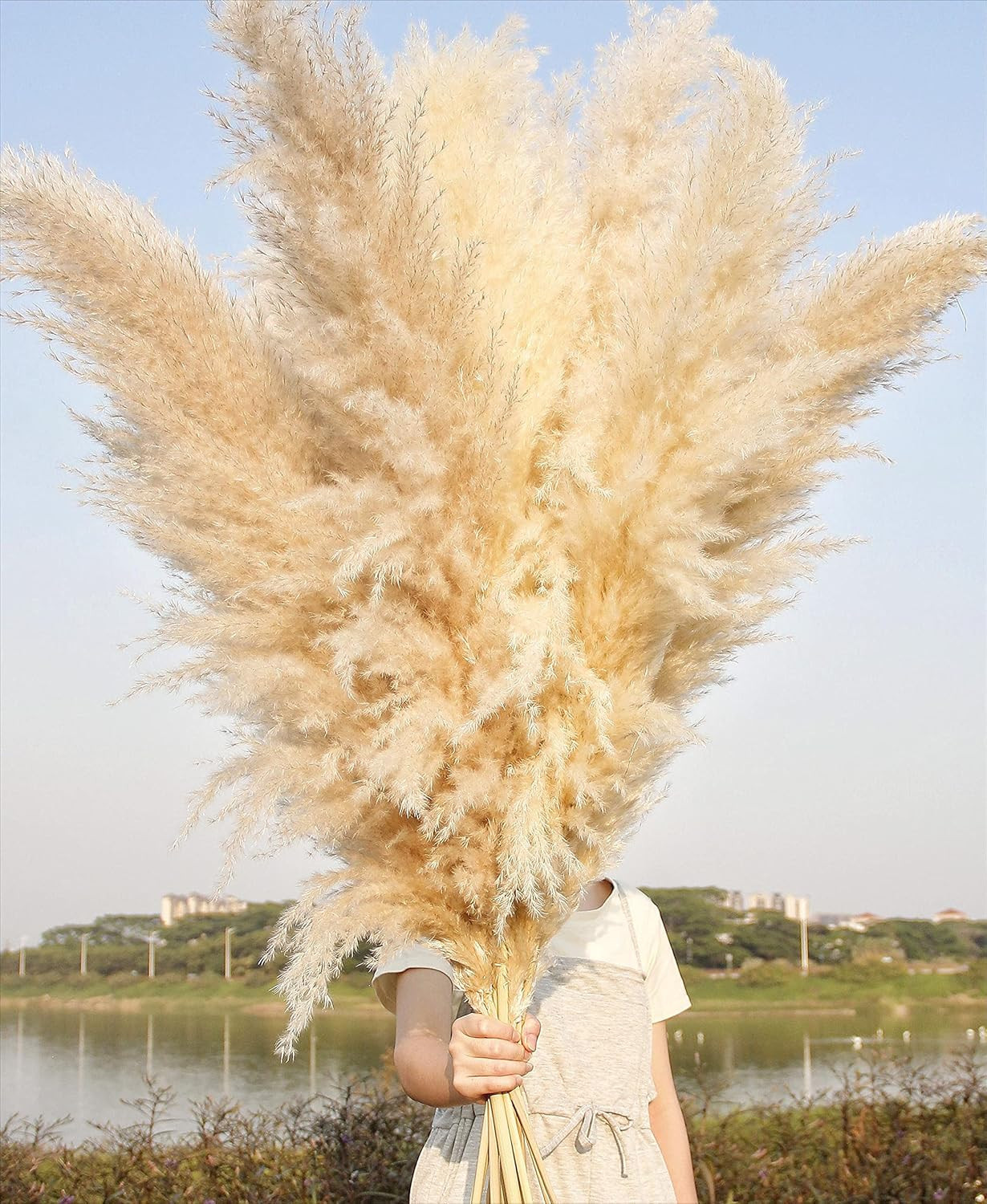 10 Stems 46″ Inch Dried Pampas Grass Decor Tall, Large Pompas Grass, Boho Neutra