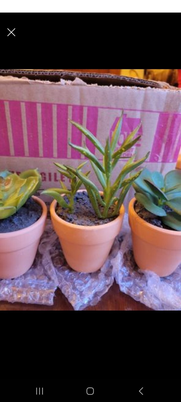 Set Of 8 Mini Faux Succulents With Terracotta Pots perfect for wedding favors