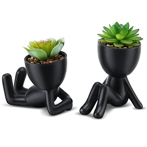 Fake Succulent, Mini Succulents Plants Black Ceramic Pot a Green Succulent
