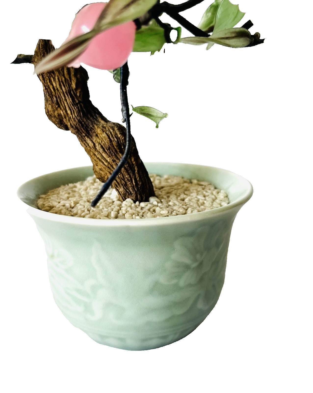 Vintage Pink Cherry Blossom Flower Plastic Bonsai Tree Celadon Planter