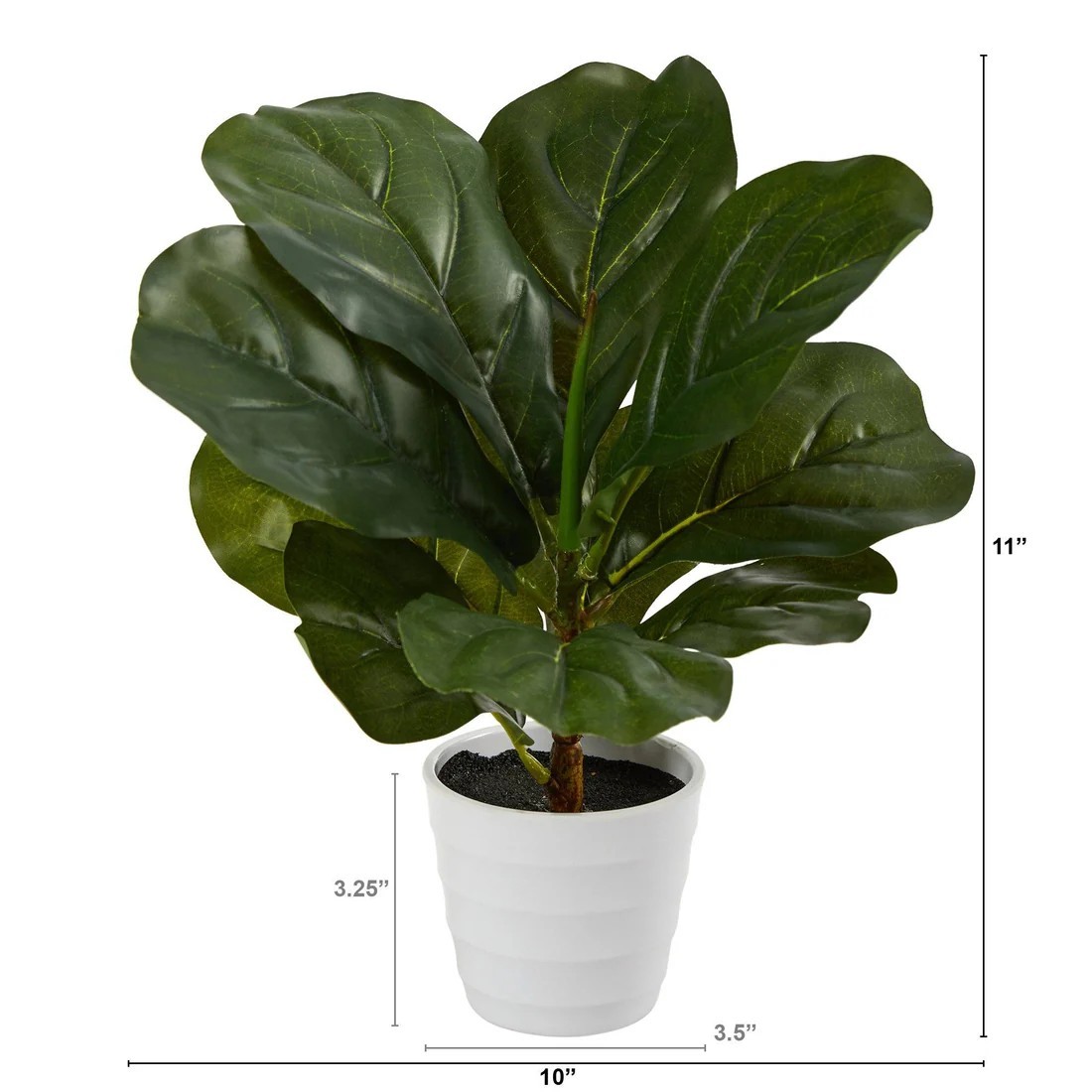 11″ Fiddle Leaf Plant in White Planter (Real Touch)