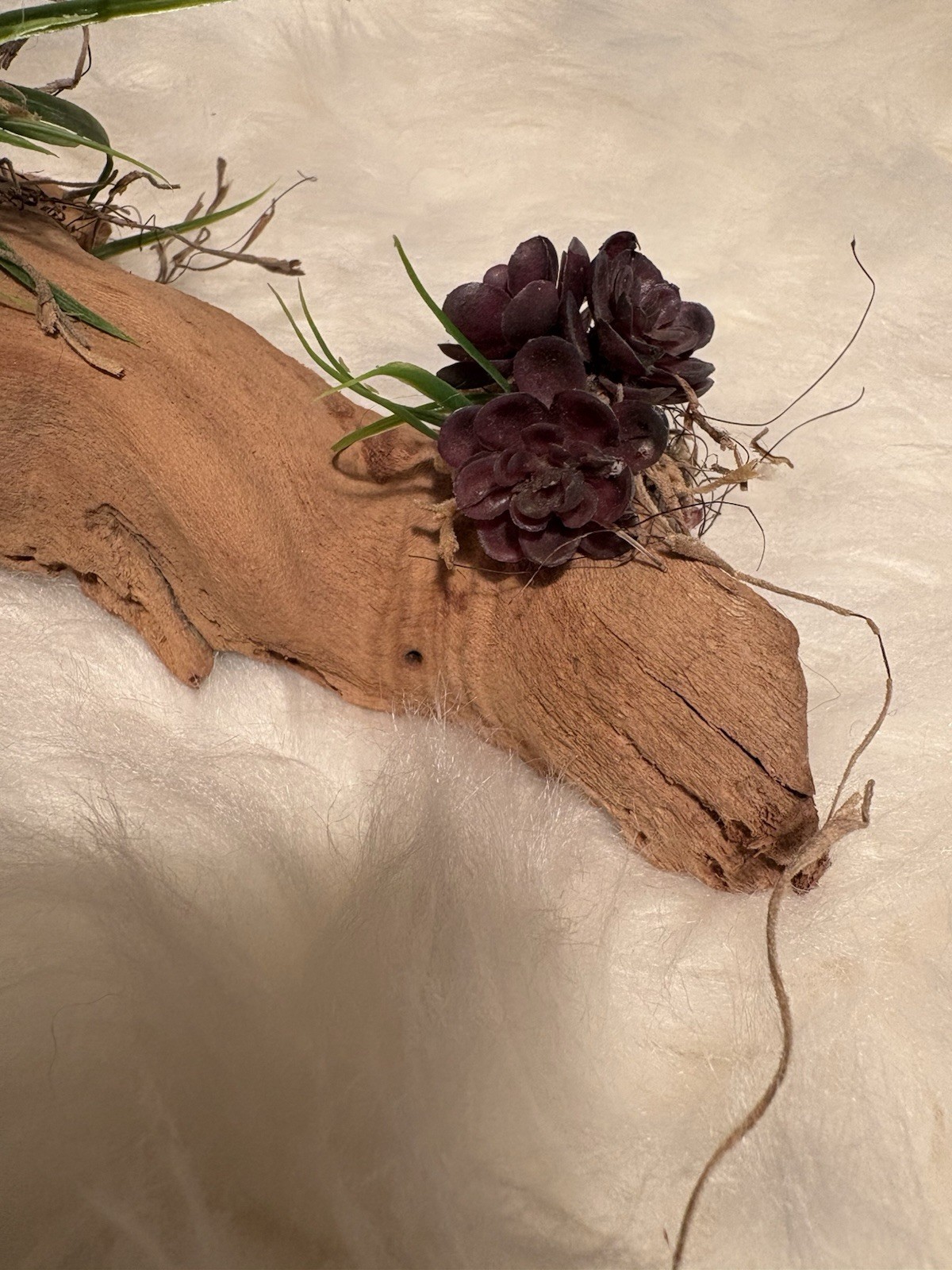 Grapewood Branch Natural Rare Piece Decorative With Colored Succulent Grass