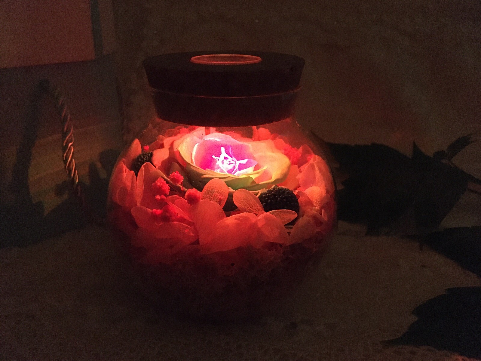 Sanran Forever Eternal Real Preserved Rose With Led Mood Light Valentine Gift