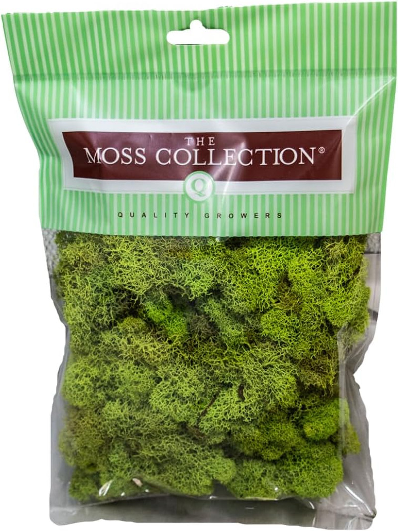 Preserved Reindeer Moss – Moss for Crafts, Home Decor, Art, Design & DIY Project