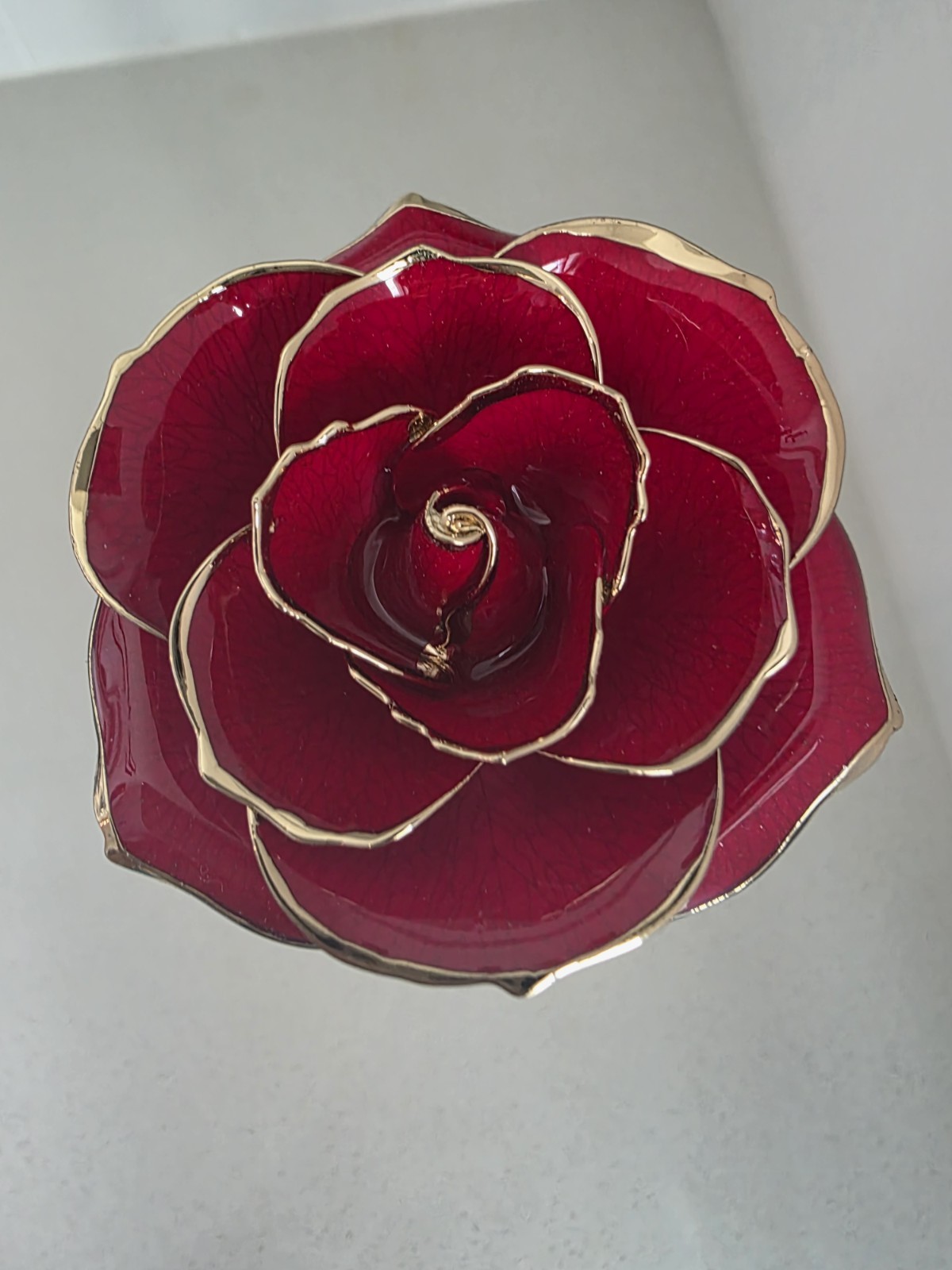 RED ROSE – Luohe, Real Preserved, Dipped in Gold, Long Stem, New In Open Box
