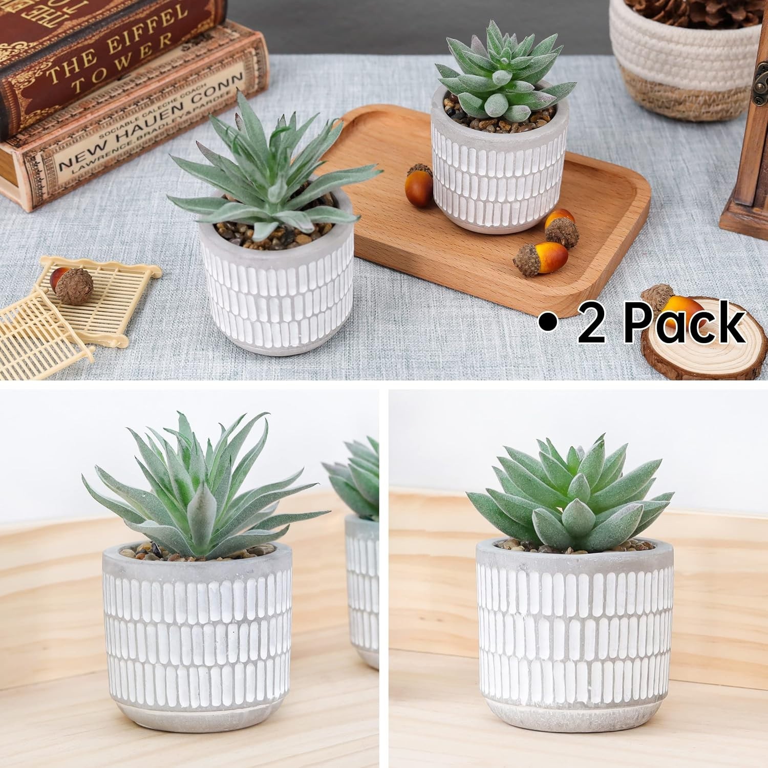 Set of 2 Succulents Plants Artificial Fake Cactus Plants for Living Room Bath…