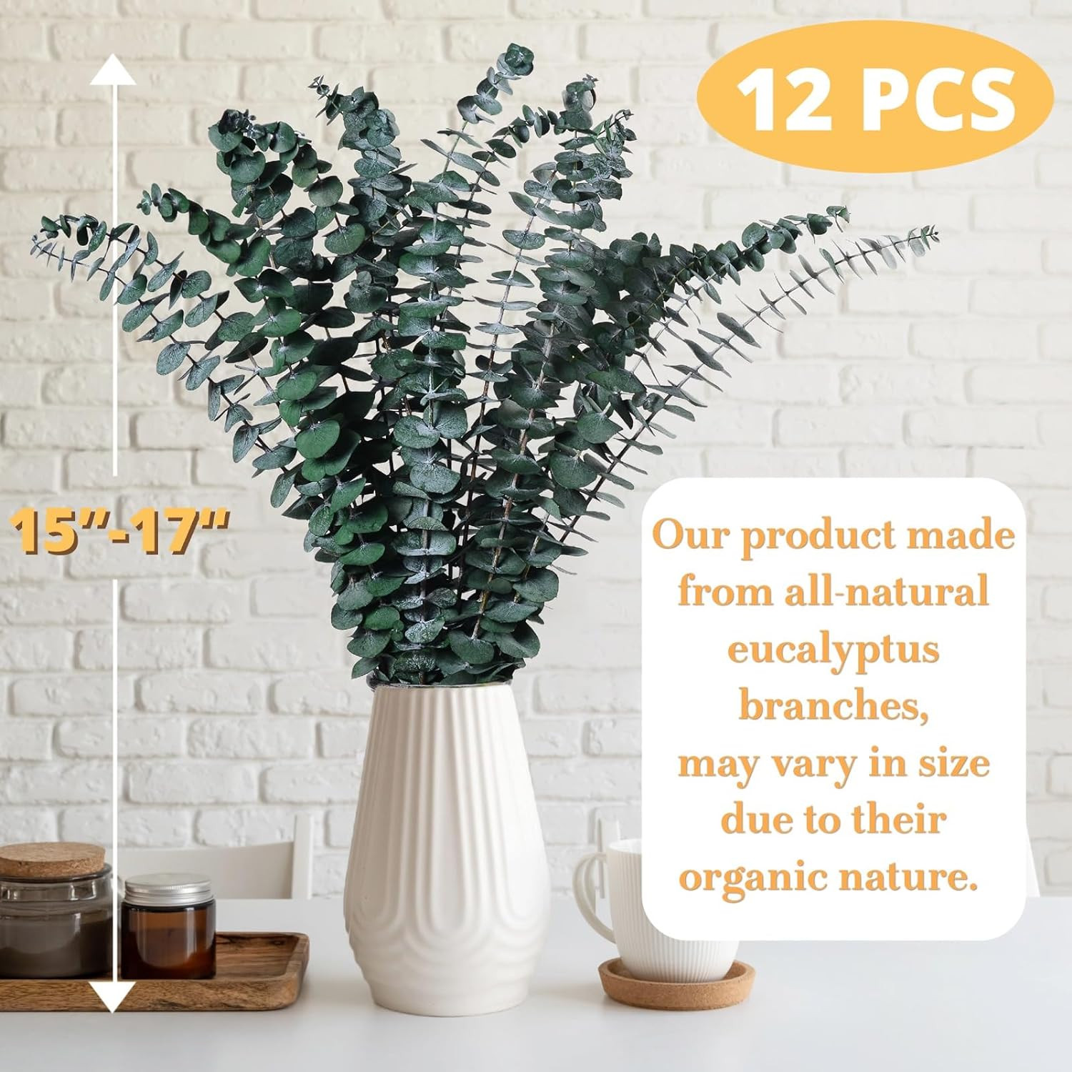 12 Pcs Dried Eucalyptus for Shower Hanging – 17” Real Large Preserved Eucalyptu