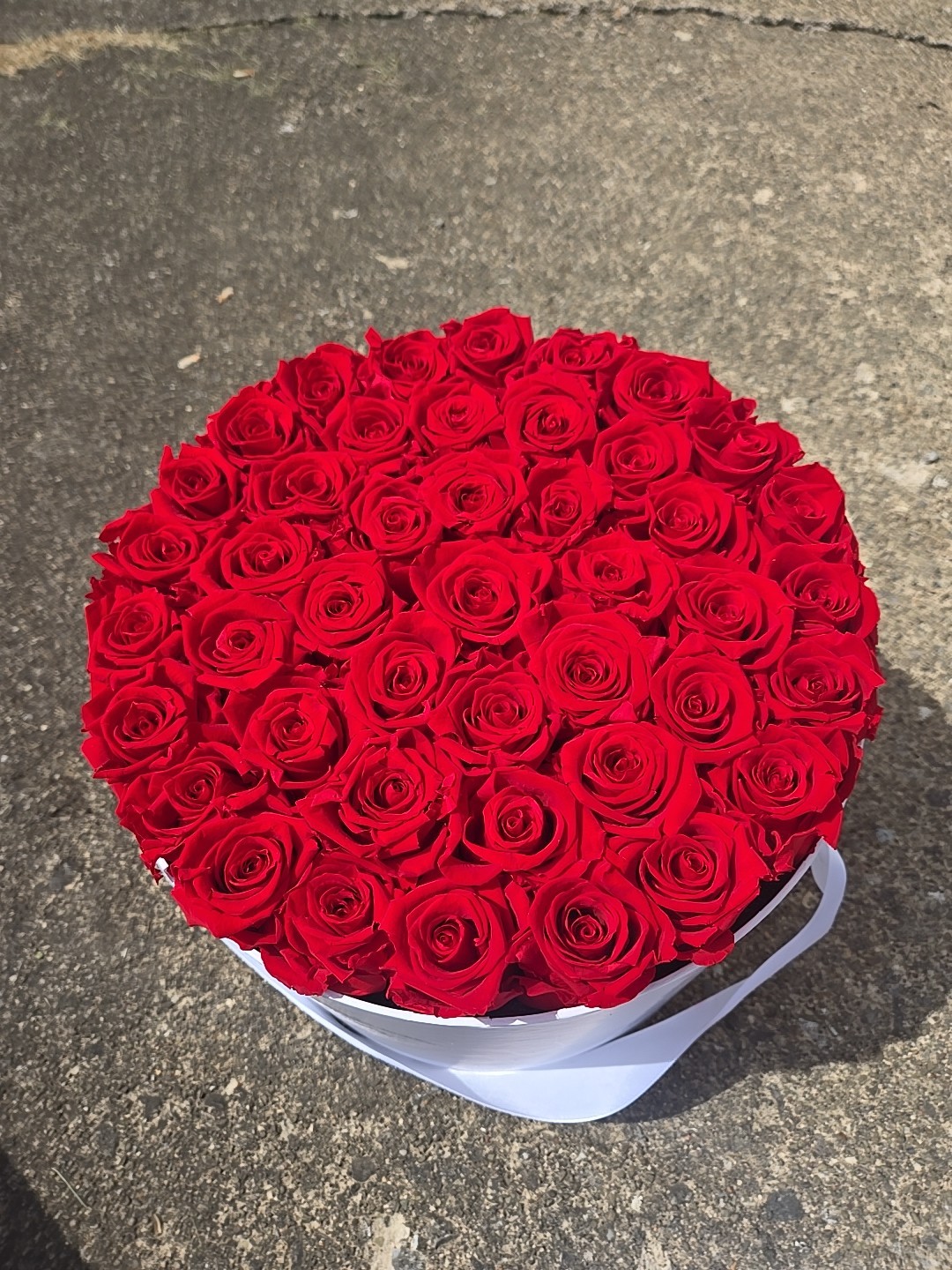 Venus et Fleur Red Roses Flower Box Arrangement Large White Container 40+ Roses