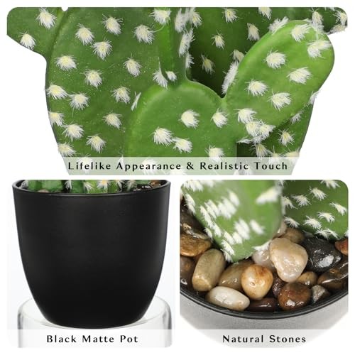 Artificial Cactus Plants 9.8 inch Small Faux Cactus Plants Indoor Fake SUP_168